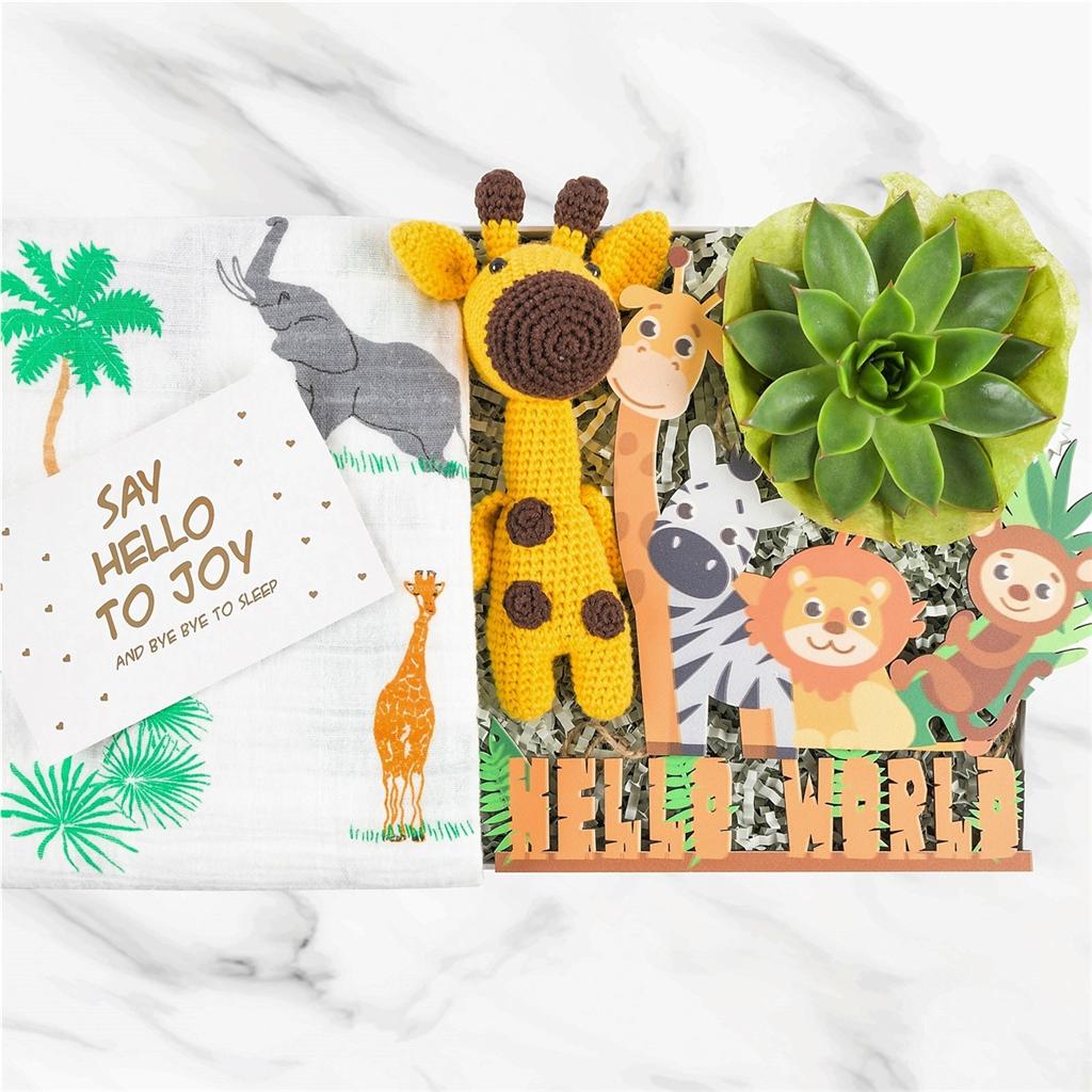 Hello World Bebek Hediye Kutusu