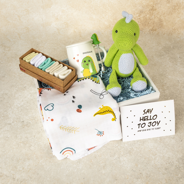 Baby Dino Bebek Hediye Kutusu