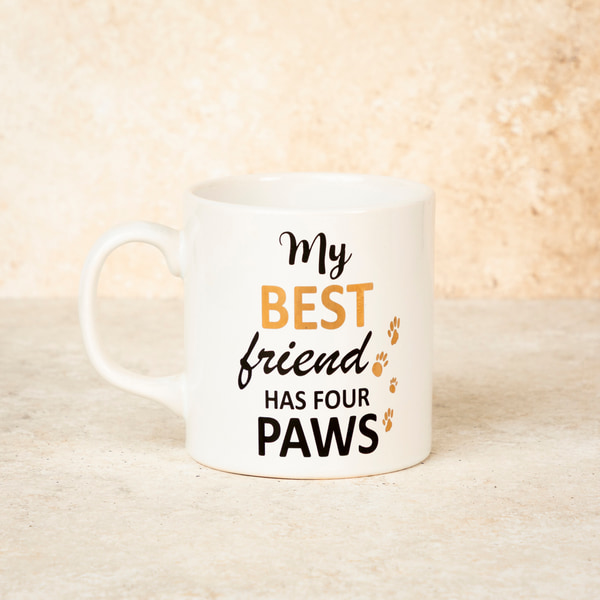My Best Friend Has 4 Paws
